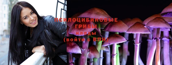 амф Абаза