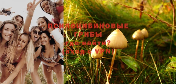 крисы Абинск