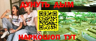 Альфа ПВП Канаш