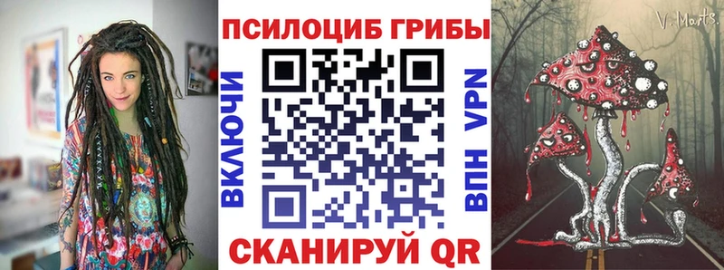 нарко площадка Telegram  купить наркоту  Кудымкар  Галлюциногенные грибы Psilocybe 